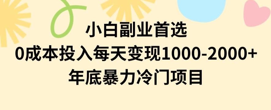 小白副业首选，0成本投入，每天变现1000-2000年底暴力冷门项目【揭秘】-heixxmi