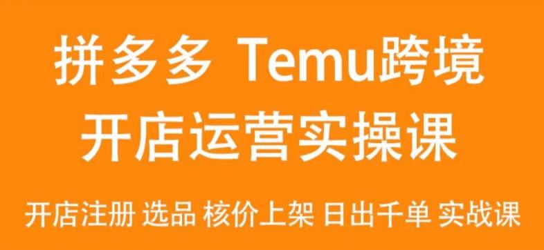 2024Temu最新玩法，Temu跨境开店运营实操课，开店注册/选品/核价上架/日出千单实战课-heixxmi