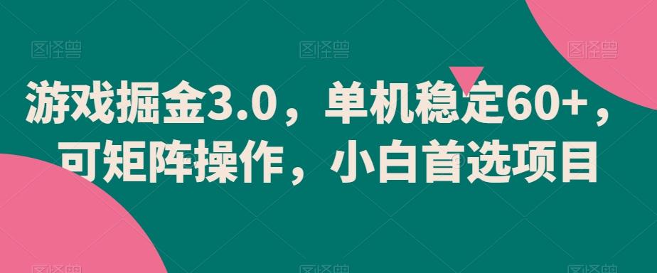 游戏掘金3.0，单机稳定60+，可矩阵操作，小白首选项目【揭秘】-heixxmi