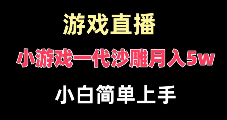玩小游戏一代沙雕月入5w，爆裂变现，快速拿结果，高级保姆式教学【揭秘】-heixxmi