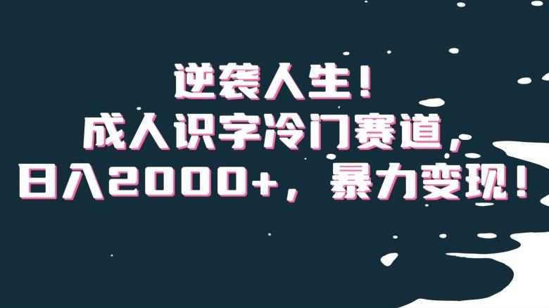逆袭人生！成人识字冷门赛道，日入2000+，暴力变现！【揭秘】-heixxmi