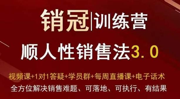 爆款！销冠训练营3.0之顺人性销售法，全方位解决销售难题、可落地、可执行、有结果-heixxmi