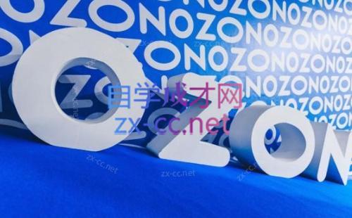 森哥·出海俄罗斯电商实操(2024)-heixxmi