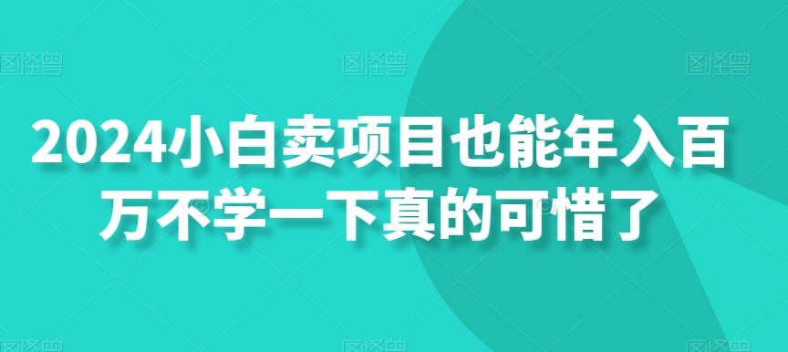 2024小白卖项目也能年入百万不学一下真的可惜了-heixxmi