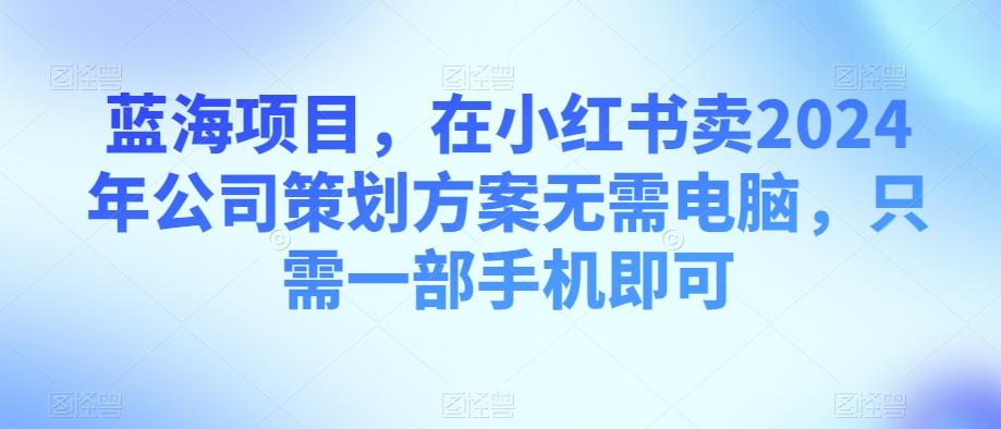 蓝海项目，在小红书卖2024年公司策划方案无需电脑，只需一部手机即可-heixxmi