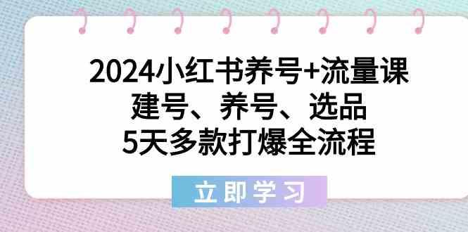 2024小红书养号+流量课：建号、养号、选品，5天多款打爆全流程-heixxmi
