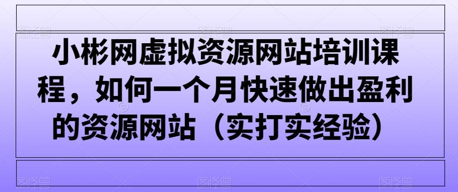 小彬网虚拟资源网站培训课程，如何一个月快速做出盈利的资源网站(实打实经验)-heixxmi