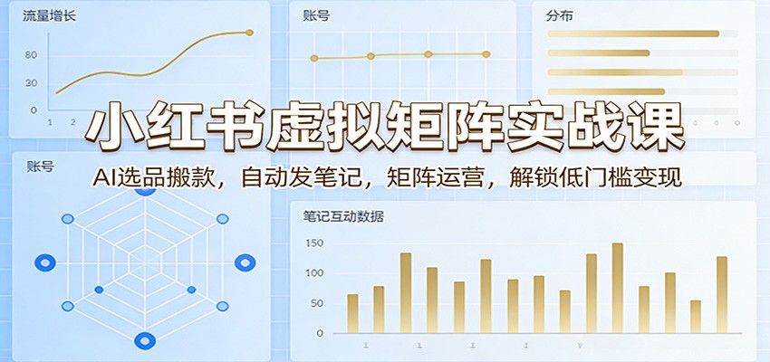 小红书虚拟矩阵实战课：AI选品搬款，自动发笔记，矩阵运营，解锁低门槛变现-heixxmi