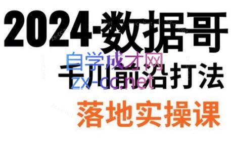 数据哥·2024年千川前沿打法落地实操课-heixxmi