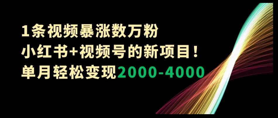 1条视频暴涨数万粉--小红书+视频号的新项目！单月轻松变现2000-4000【揭秘】-heixxmi
