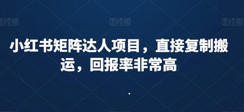 小红书矩阵达人项目，直接复制搬运，回报率非常高-heixxmi
