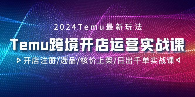 2024Temu跨境开店运营实战课，开店注册/选品/核价上架/日出千单实战课-heixxmi