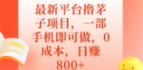 最新平台撸茅子项目，一部手机即可做，0成本，日赚800+-heixxmi