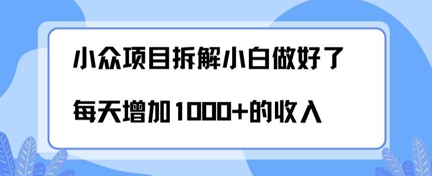 小众项目拆解，小白做好了每天可增加1000多的收入-heixxmi