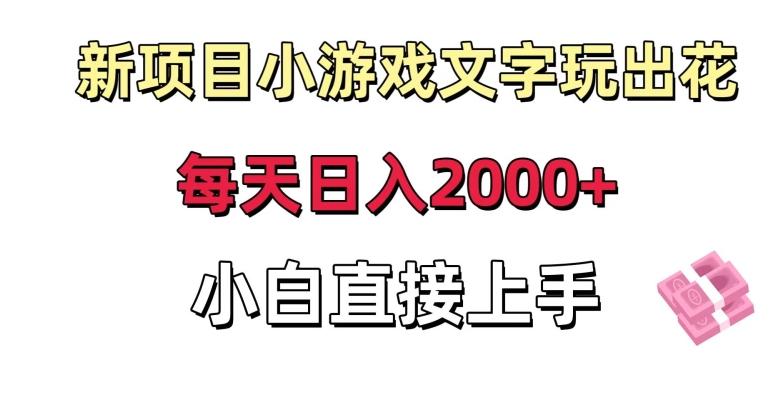 新项目小游戏文字玩出花日入2000+，每天只需一小时，小白直接上手【揭秘】-heixxmi