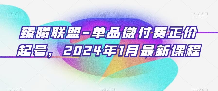 臻曦联盟-单品微付费正价起号，2024年1月最新课程-heixxmi