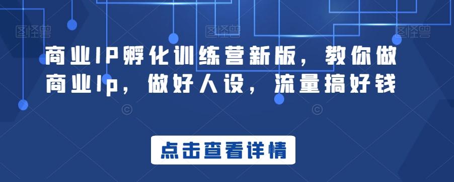 商业IP孵化训练营新版，教你做商业Ip，做好人设，流量搞好钱-heixxmi