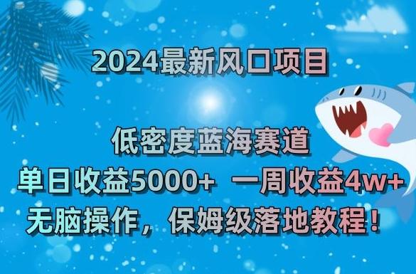 2024最新风口项目，低密度蓝海赛道，单日收益5000+，一周收益4w+！【揭秘】-heixxmi
