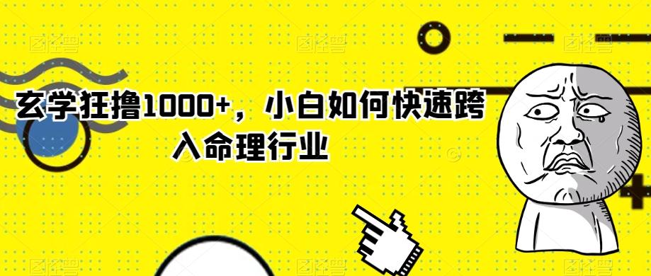 玄学狂撸1000+，小白如何快速跨入命理行业-heixxmi