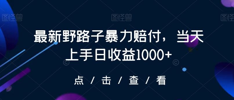 最新野路子暴力赔付，当天上手日收益1000+【仅揭秘】-heixxmi