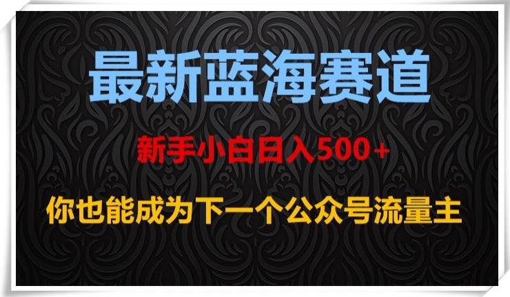 最新蓝海赛道，新手小白日入500+，你也能成为下一个公众号流量主【揭秘】-heixxmi