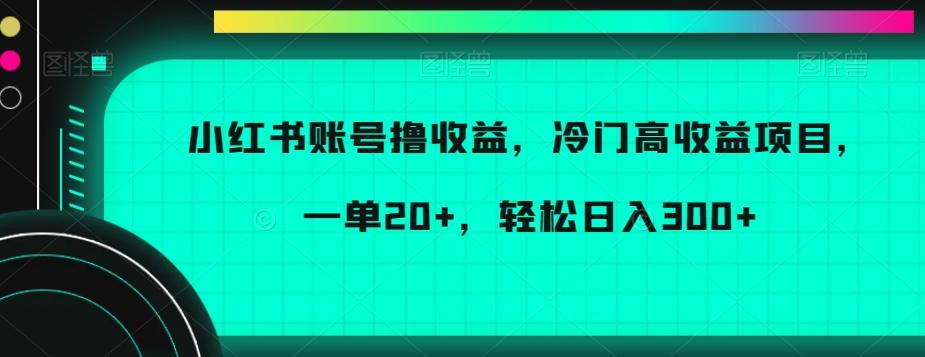 小红书账号撸收益，冷门高收益项目，一单20+，轻松日入300+【揭秘】-heixxmi