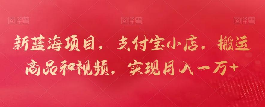 新蓝海项目，支付宝小店，搬运商品和视频，实现月入一万+【揭秘】-heixxmi