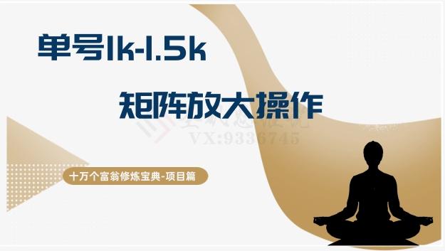 十万个富翁修炼宝典15.单号1k-1.5k，矩阵放大操作-heixxmi