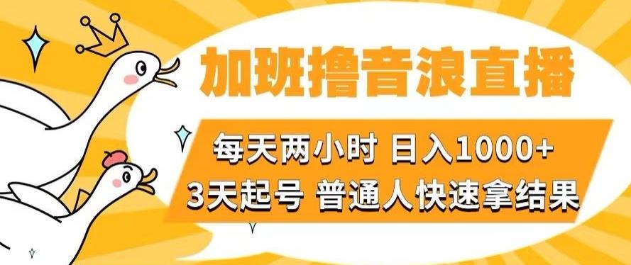 加班撸音浪直播，每天两小时，日入1000+，直播话术才3句，3天起号，普通人快速拿结果【揭秘】-heixxmi