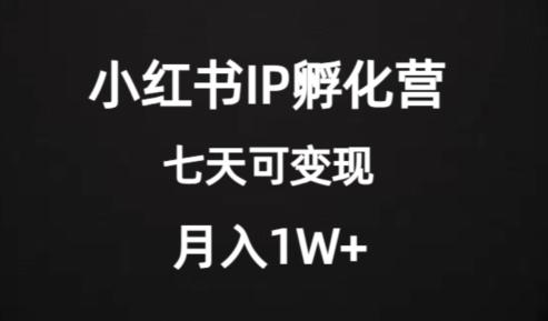 价值2000+的小红书IP孵化营项目，超级大蓝海，七天即可开始变现，稳定月入1W+-heixxmi