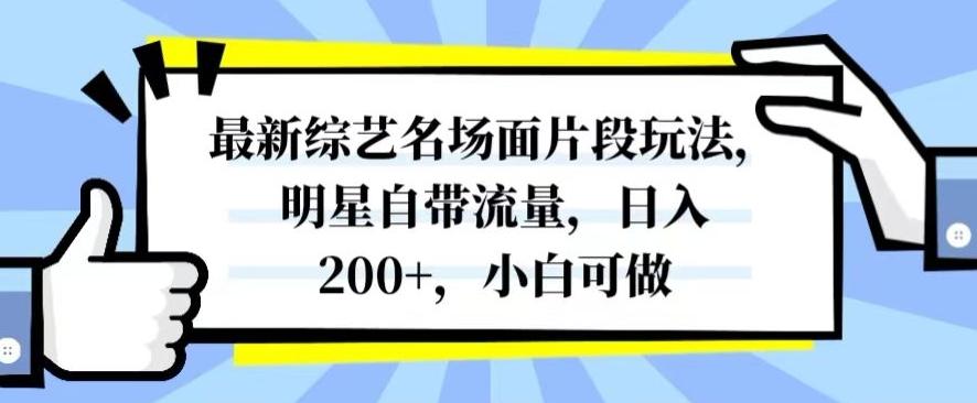 最新综艺名场面片段玩法，明星自带流量，日入200+，小白可做【揭秘】-heixxmi