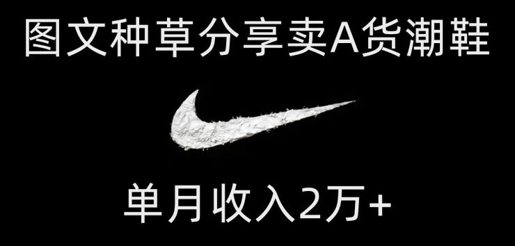 靠图文种草分享卖A货潮鞋，每天一小时，单月收入2万+【揭秘】-heixxmi