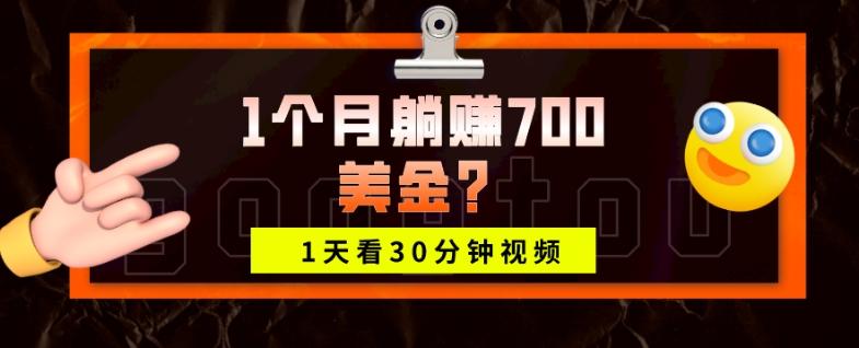 1天看30分钟视频，1个月躺赚700美金？-heixxmi