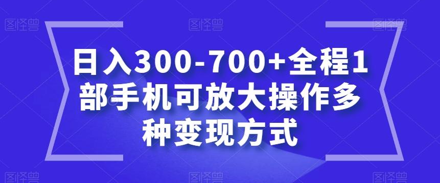 日入300-700+全程1部手机可放大操作多种变现方式【揭秘】-heixxmi