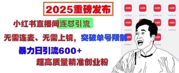 2025重磅发布：小红书直播间连怼引流，无需连麦、无需上镜，突破单号限制，暴力日引流600+-heixxmi