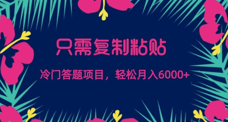 只需复制粘贴，冷门答题项目，轻松月入6000-heixxmi