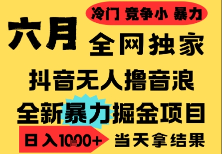 25年6月高爆抖音无人直播最新撸音浪掘金项目，小白可做，无脑日入1k+，门槛低可批量矩阵【揭秘】-heixxmi