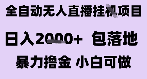 最新全自动抖音无人直播挂G项目，日入2k+ 包落地暴力撸金，小白可做【揭秘】-heixxmi