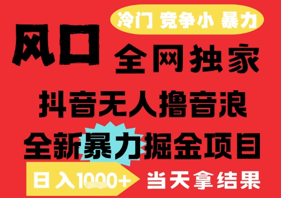 25年6月高爆抖音无人直播最新撸音浪掘金项目，解放双手小白可做，无脑日入1k+，门槛低【揭秘】-heixxmi
