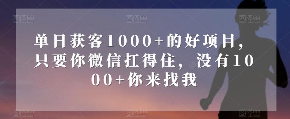 单日获客1000+的好项目，只要你微信扛得住，没有1000+你来找我【揭秘】-heixxmi