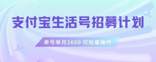 支付宝生活号作者招募计划，单号单月2600，可批量去做，工作室一人一个月轻松1w+【揭秘】-heixxmi