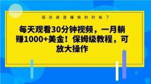 每天观看30分钟视频，一月躺赚1000+美金！保姆级教程，可放大操作【揭秘】-heixxmi