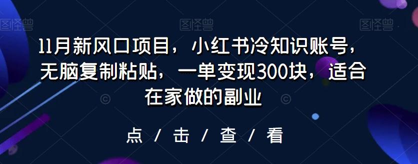 11月新风口项目，小红书冷知识账号，无脑复制粘贴，一单变现300块，适合在家做的副业-heixxmi