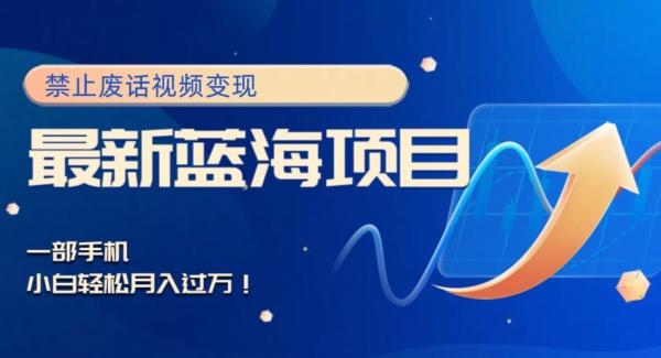 最新蓝海项目，靠禁止废话视频变现，一部手机，小白轻松月入过万！-heixxmi
