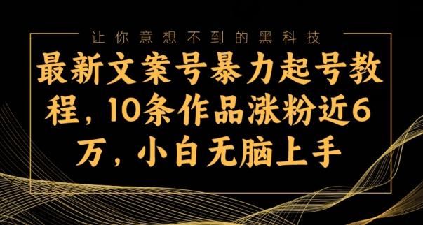 最新文案号暴力起号教程，10条作品涨粉近6万，小白无脑上手-heixxmi