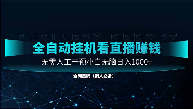 直播助手全自动看大平台直播赚钱，全自动无需人工干预，小白无脑日入1000-heixxmi