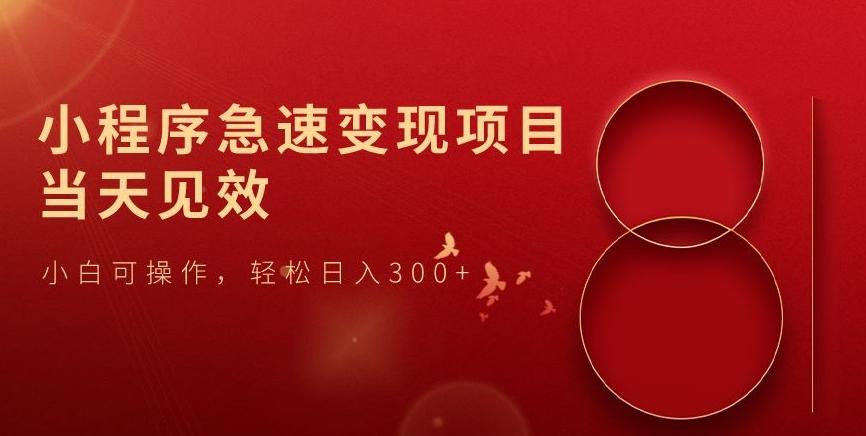 小程序急速变现项目，当天见效，小白可操作，轻松日入300+-heixxmi