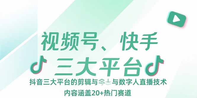 视频号、快手、抖音三大平台的剪辑与数字人直播技术，内容涵盖20+热门赛道-heixxmi