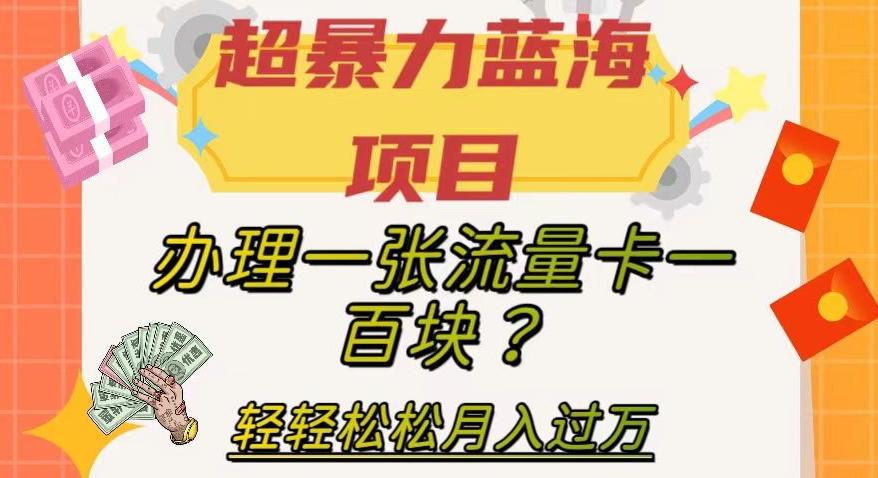 超暴力蓝海项目，办理一张流量卡一百块？轻轻松松月入过万，保姆级教程【揭秘】-heixxmi