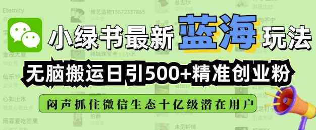 小绿书无脑搬运引流，全自动日引500精准创业粉，微信生态内又一个闷声发财的机会-heixxmi